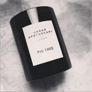 Urban Apothecary Fig Tree Luxury Candle